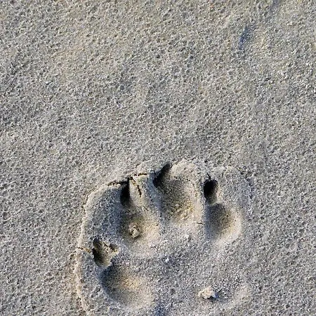 Feriehus Heuboden F5 Comfortable *