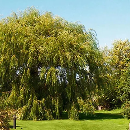 Heuboden F5 Comfortable Feriehus